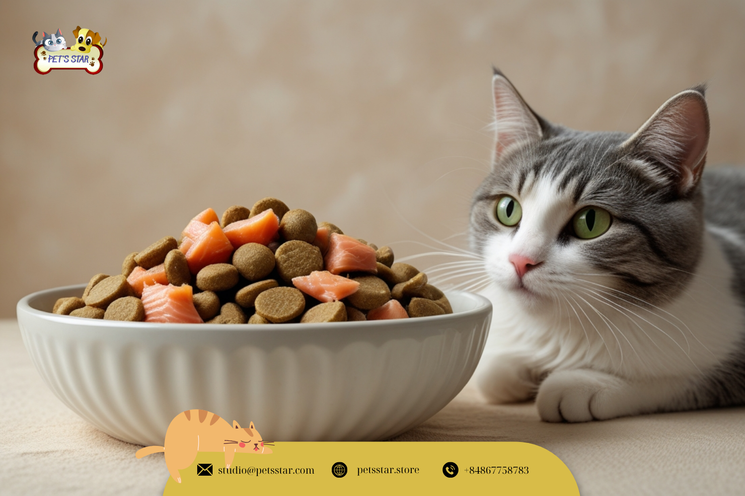 Thức ăn hạt cho mèo chất lượng cao trong bát.