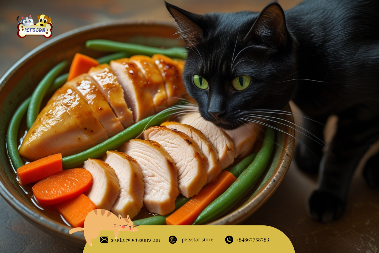 Thức ăn tươi cho mèo gồm thịt gà và rau củ.